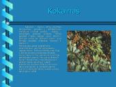 Narkotikų rūšys ir jų žala žmogui 4 puslapis