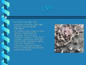 Narkotikų rūšys ir jų žala žmogui 5 puslapis