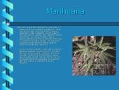 Narkotikų rūšys ir jų žala žmogui 6 puslapis