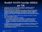 NATO ir saugumas 12 puslapis