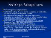 NATO ir saugumas 13 puslapis