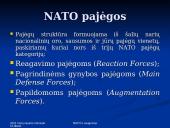 NATO ir saugumas 16 puslapis
