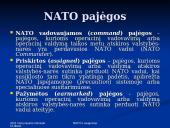 NATO ir saugumas 17 puslapis