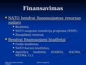 NATO ir saugumas 18 puslapis