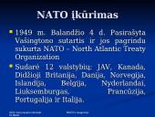NATO ir saugumas 3 puslapis