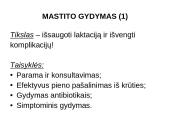 Naujagimių žindymo aspektai 13 puslapis