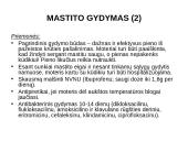 Naujagimių žindymo aspektai 14 puslapis