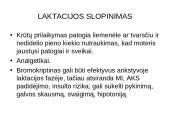 Naujagimių žindymo aspektai 19 puslapis