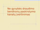 Ne gyvybės draudimo bendrovių paskirstymo kanalų įvertinimas