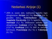 Nedarbo socialinės problemos ir teisiniai jų sprendimo būdai. Airijos atvejis 2 puslapis