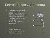 Nervinis organizmo funkcijų reguliavimas ir nervinis audinys, neuronai ir nervai 3 puslapis