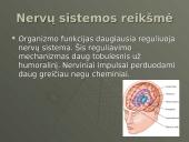 Nervinis organizmo funkcijų reguliavimas ir nervinis audinys, neuronai ir nervai 5 puslapis