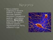 Nervinis organizmo funkcijų reguliavimas ir nervinis audinys, neuronai ir nervai 8 puslapis