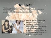 Nikotinas ir kitos narkotinės medžiagos 9 puslapis