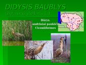 Nykstantys paukščiai 2 puslapis