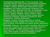 Nykstantys paukščiai 3 puslapis