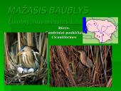 Nykstantys paukščiai 5 puslapis