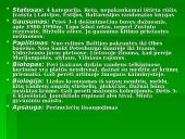 Nykstantys paukščiai 6 puslapis