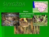 Nykstantys paukščiai 9 puslapis