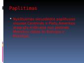 Nykštukinė skruzdėda 11 puslapis