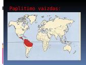 Nykštukinė skruzdėda 12 puslapis