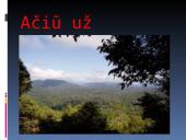 Nykštukinė skruzdėda 14 puslapis