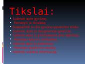 Nykštukinė skruzdėda 3 puslapis