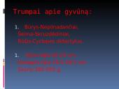 Nykštukinė skruzdėda 4 puslapis