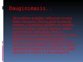 Nykštukinė skruzdėda 8 puslapis