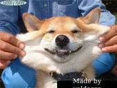 Nokia mobiliųjų telefonų pristatymas 11 puslapis