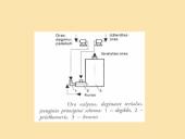Oksidacinis ir biotechnologinis dujų valymo metodas 7 puslapis