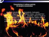 Oksidai ir jų junginiai 19 puslapis