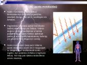 Oksidai ir jų junginiai 20 puslapis