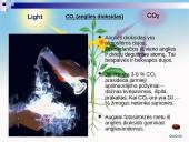 Oksidai ir jų junginiai 10 puslapis