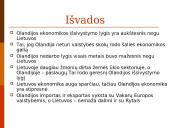 Olandija ir Lietuva 11 puslapis