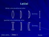 Optika ir panaudojimo galimybės 18 puslapis
