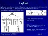 Optika ir panaudojimo galimybės 19 puslapis