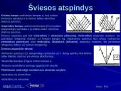 Optika ir panaudojimo galimybės 6 puslapis