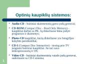 Optiniai duomenų kaupikliai 4 puslapis