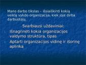 Organizacijos aprašymas: informacinės technologijos UAB "Aipek" 2 puslapis