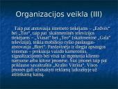 Organizacijos aprašymas: informacinės technologijos UAB "Aipek" 5 puslapis