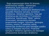 Organizacijos aprašymas: informacinės technologijos UAB "Aipek" 7 puslapis