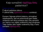 Organizmai ir aplinka 13 puslapis