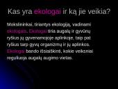 Organizmai ir aplinka 3 puslapis