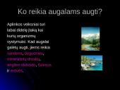 Organizmai ir aplinka 4 puslapis