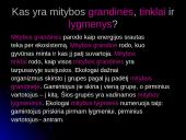 Organizmai ir aplinka 6 puslapis