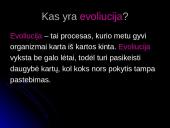 Organizmai ir aplinka 8 puslapis