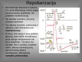 Organizmo veiklos reguliavimas ir orientavimasis aplinkoje 12 puslapis