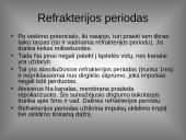 Organizmo veiklos reguliavimas ir orientavimasis aplinkoje 14 puslapis