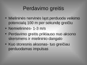 Organizmo veiklos reguliavimas ir orientavimasis aplinkoje 15 puslapis